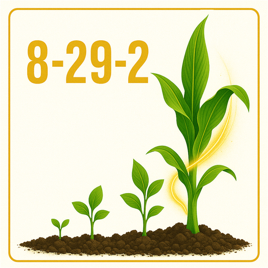 Premium 8-29-2
