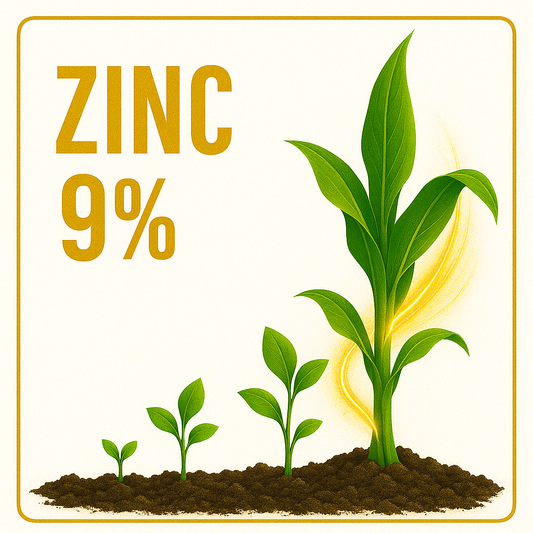 Zinc 9% (EDTA Chelate)